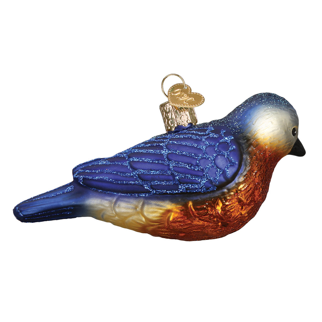 Hanging Western Bluebird