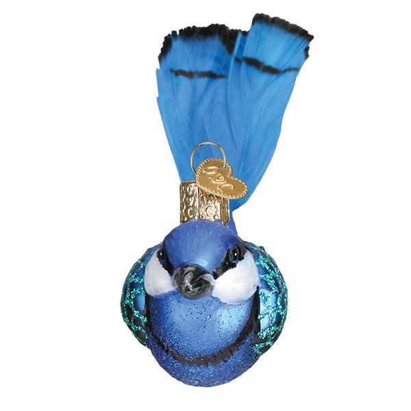 Hanging Fairy Wren