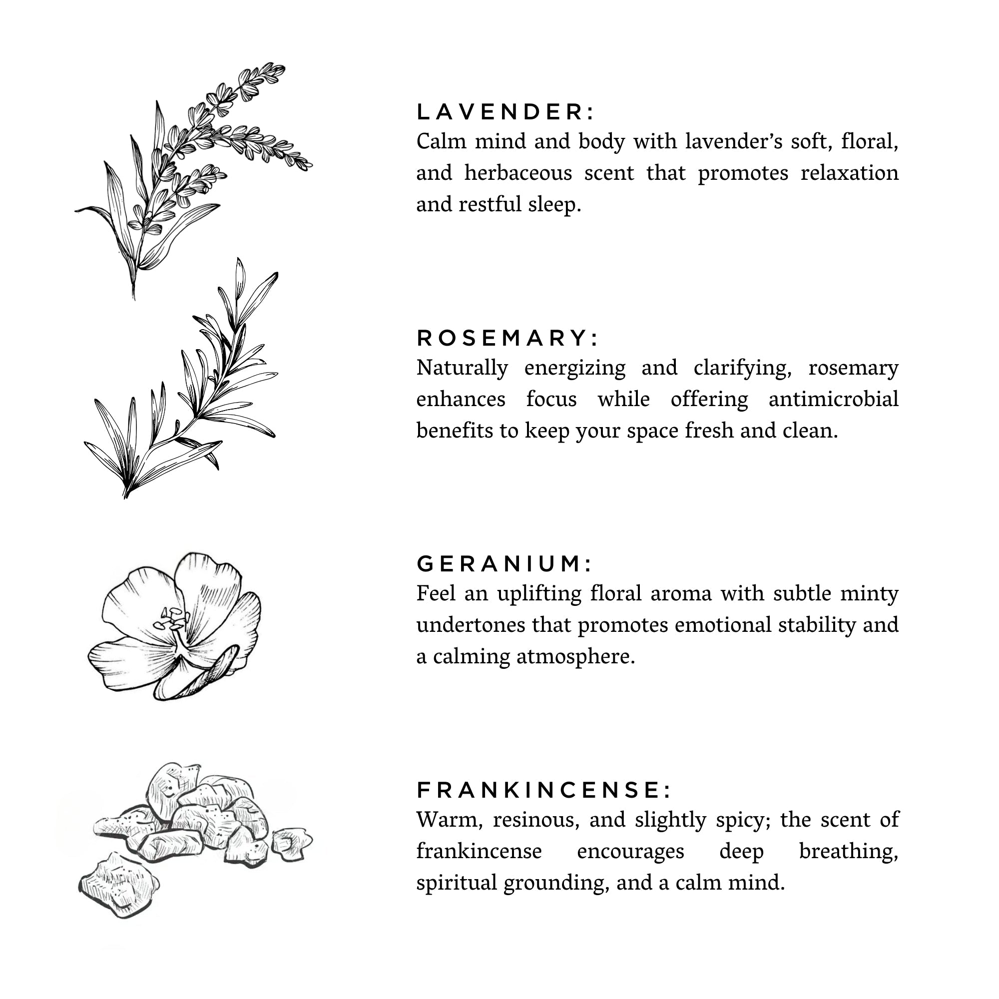 Midnight Garden - Lavender + Rosemary + Geranium