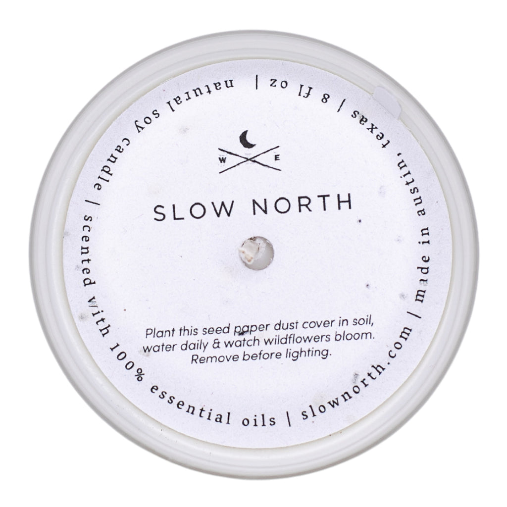 Forest Bathing - Signature Candle (Fir + Pine + Patchouli)